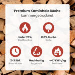 Kaminholz Breuer Bois de chauffage de hêtre premium – Palette 1 stère – Feuillus séchés en séchoir, propres & sans nuisibles pour cheminée, barbecue & poêle (bûches de 25 cm ou 30 cm au choix | Petit bois d'allumage offert) – Image 2